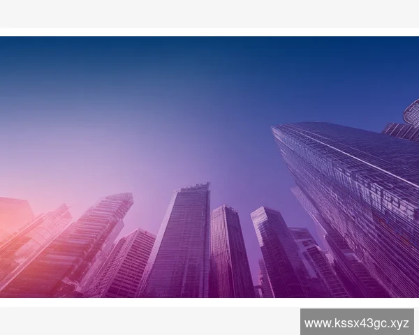 2017中国B2B网站排名揭晓谁领风骚